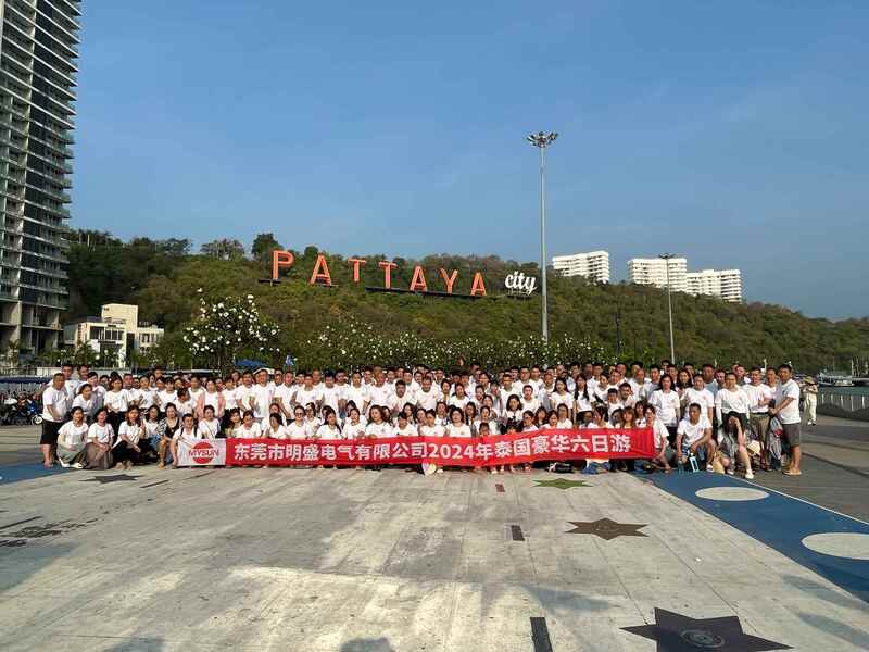 Cina Shenzhen Mysun Insulation Materials Co., Ltd. Profil Perusahaan