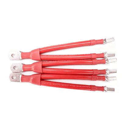 New Energy Battery Cable Wire Harness 10mm2 sampai 95mm2 dengan Tined Copper Conductor dan Silicone XLPE Insulation for Energy Storage Systems