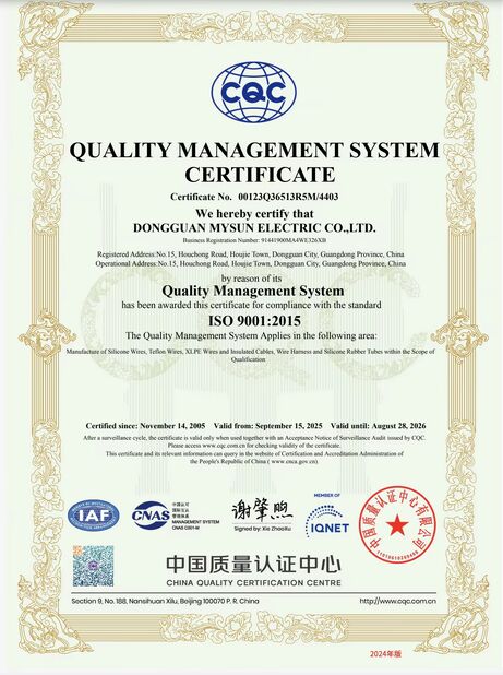 Cina Shenzhen Mysun Insulation Materials Co., Ltd. Sertifikasi